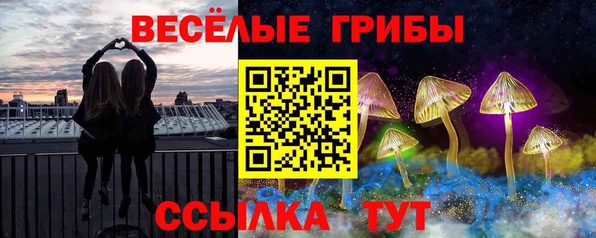 Галлюциногенные грибы Cubensis Азов
